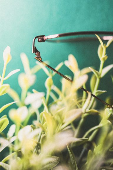 Eine Brille liegt halb hinter grünen Pflanzen vor einem einfarbigen Hintergrund.